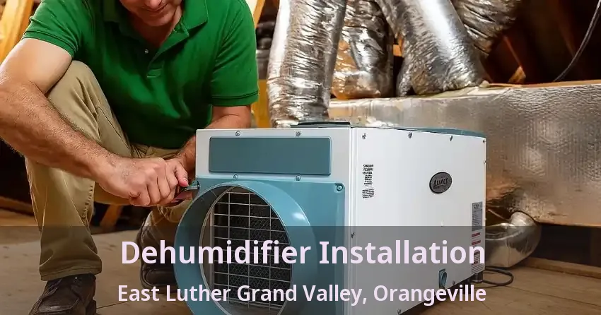 Dehumidifier Installation East Luther Grand Valley, Orangeville - ON