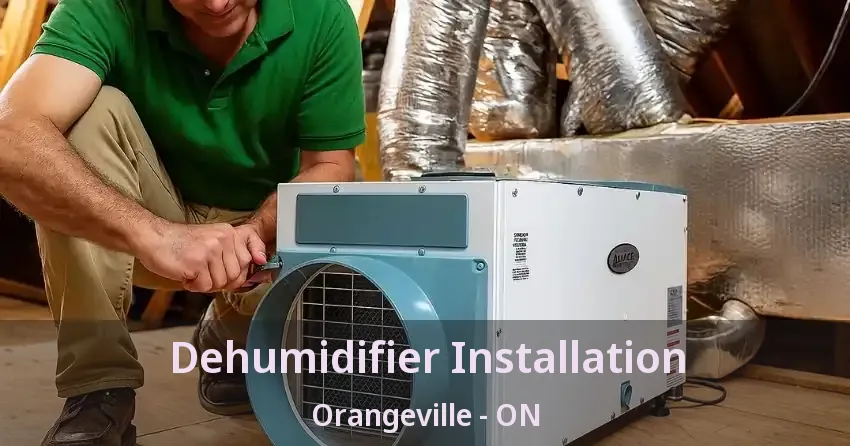 Dehumidifier Installation Orangeville - ON