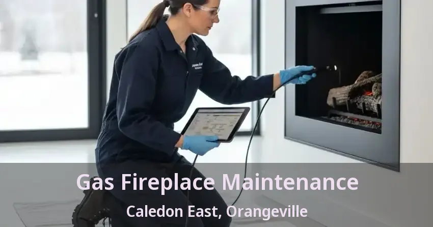 Gas Fireplace Maintenance Caledon East, Orangeville - ON