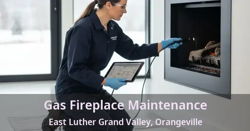Gas Fireplace Maintenance East Luther Grand Valley, Orangeville - ON
