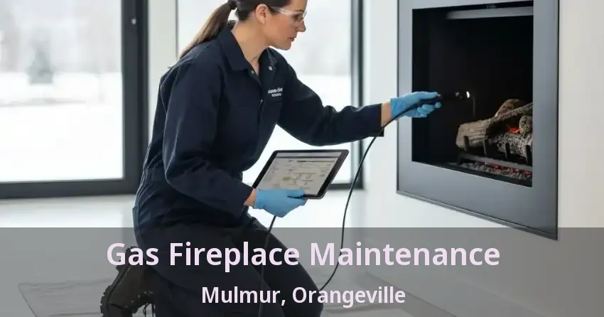 Gas Fireplace Maintenance Mulmur, Orangeville - ON