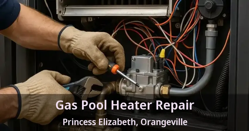 Gas Pool Heater Repair Princess Elizabeth, Orangeville - ON