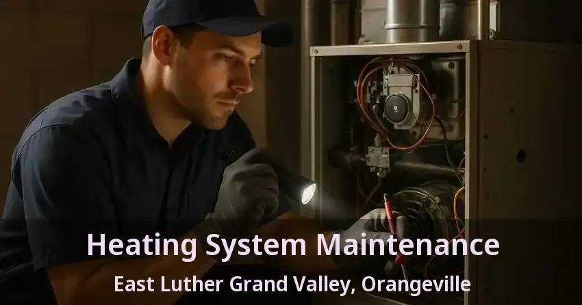 Heating System Maintenance East Luther Grand Valley, Orangeville - ON