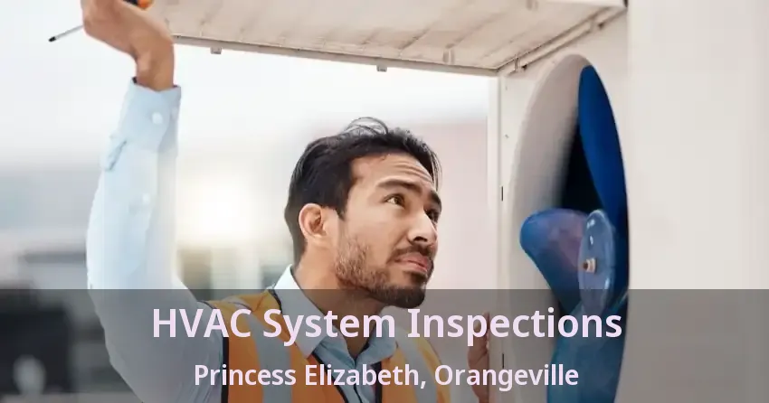 HVAC System Inspections Princess Elizabeth, Orangeville - ON