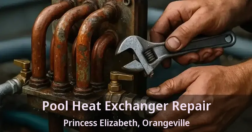 Pool Heat Exchanger Repair Princess Elizabeth, Orangeville - ON