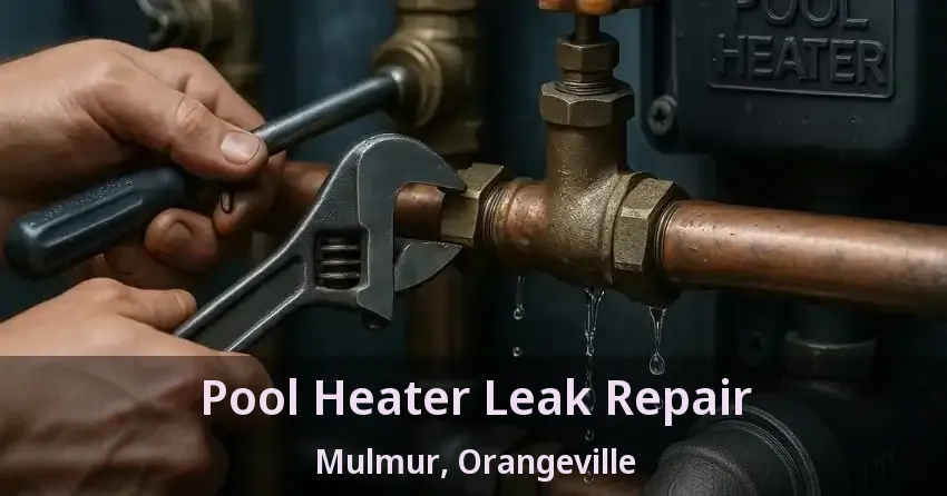 Pool Heater Leak Repair Mulmur, Orangeville - ON
