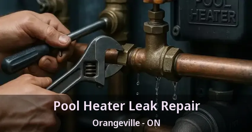 Pool Heater Leak Repair Orangeville - ON