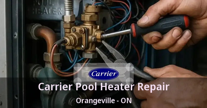 Carrier Pool Heater Repair Orangeville - ON
