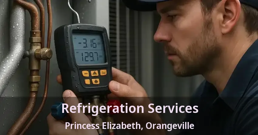 Refrigeration Services Princess Elizabeth, Orangeville - ON